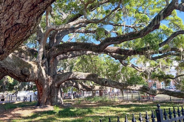 Canopy Cove Stunning 2BR Apt Heart of Downtown