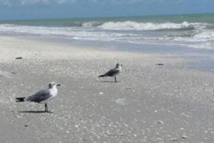 Beach 6 of 7