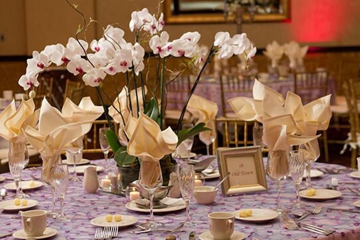 The Bertram Inn & Conf Center Trademark Collection by Wyndham