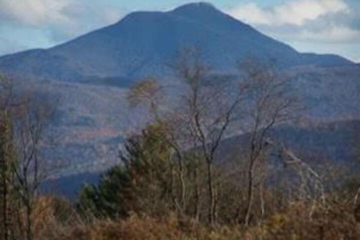 Catamount Bed & Breakfast