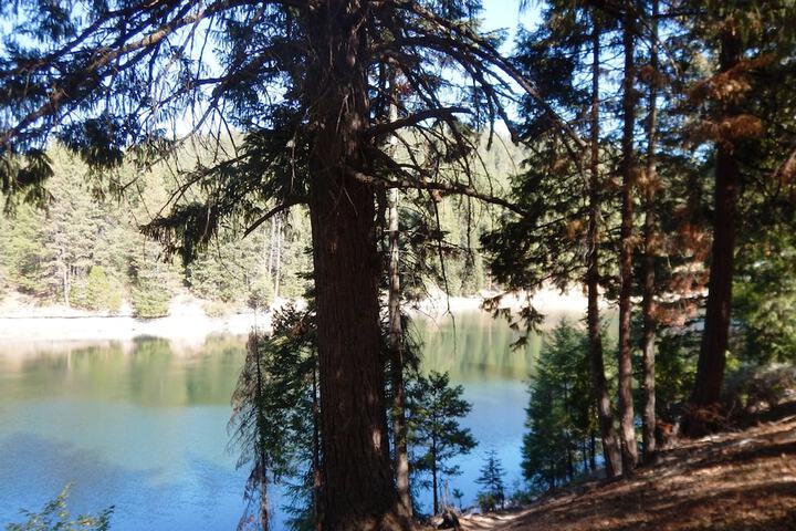 Mount Shasta Resort