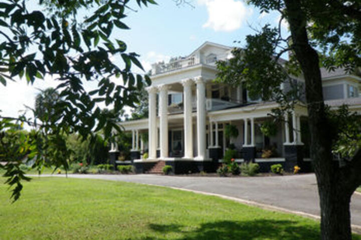 Butterfly Mansion Bed & Breakfast No Pets Allowed