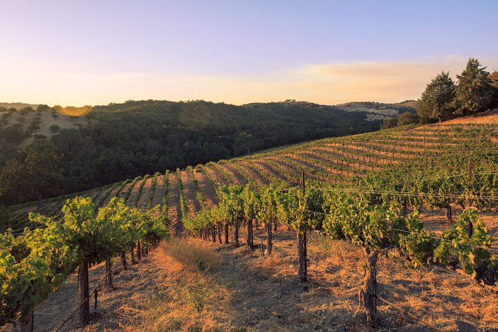 Allegretto Vineyard Resort Paso Robles