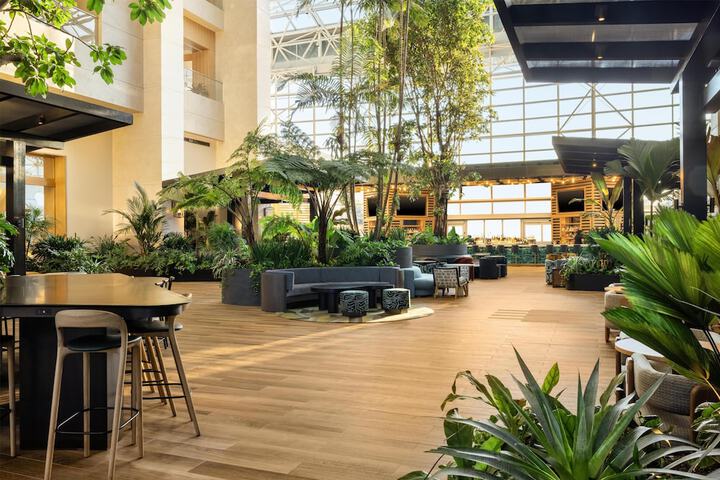 Signia by Hilton Diplomat Beach Resort