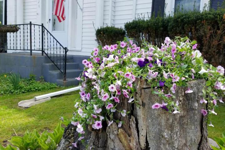 Kountry Living Bed and Breakfast
