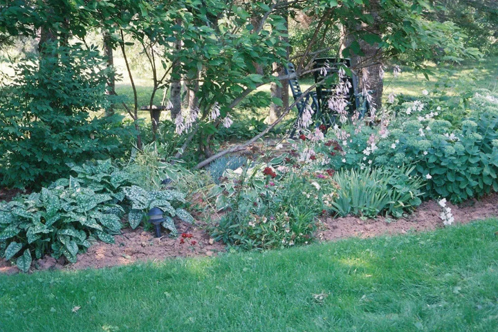 TULIPS AND THISTLE BED & BREAKFAST