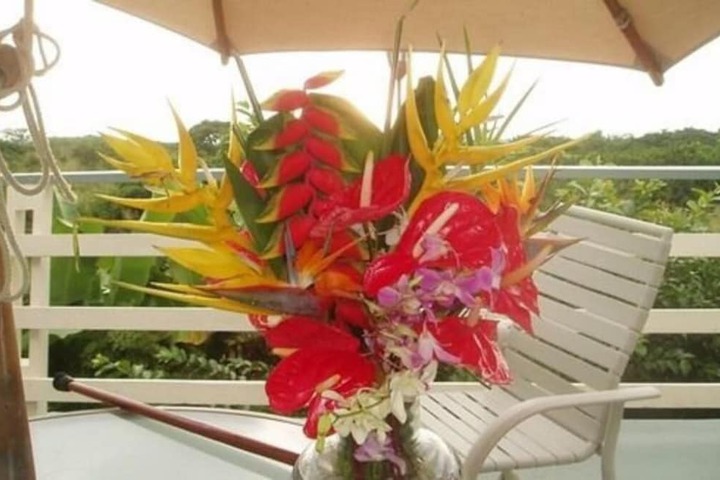 Hale-hoola B & B