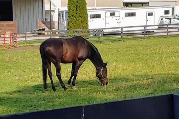102 Acre Pet Friendly Horse Farm! Bring your horse too!