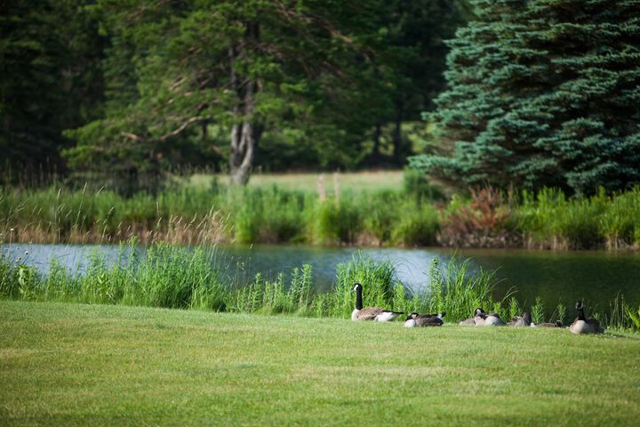 Evergreen Resort