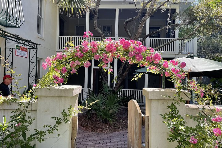Hibiscus Coffee & Guesthouse