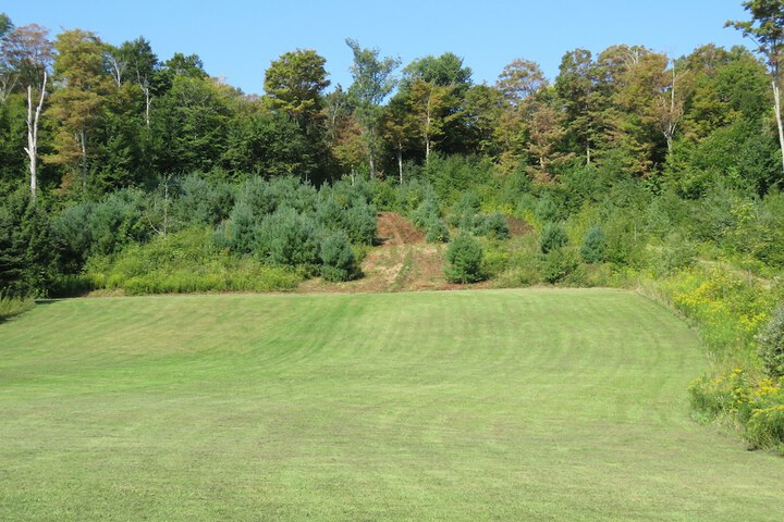 Property Grounds 56 of 64