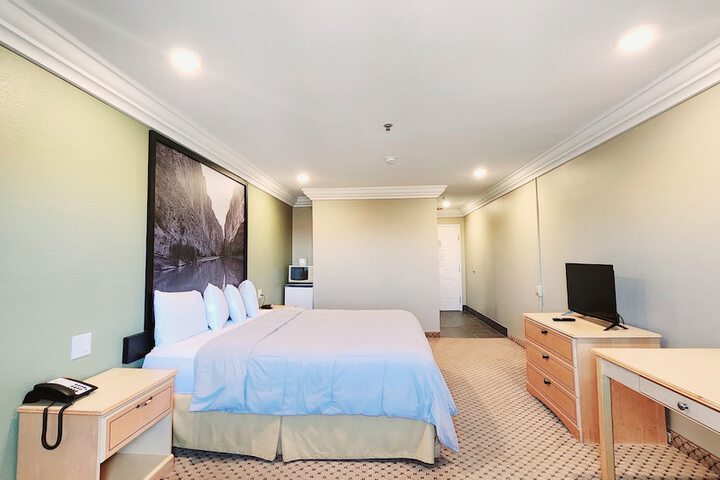 Room 12 of 24
