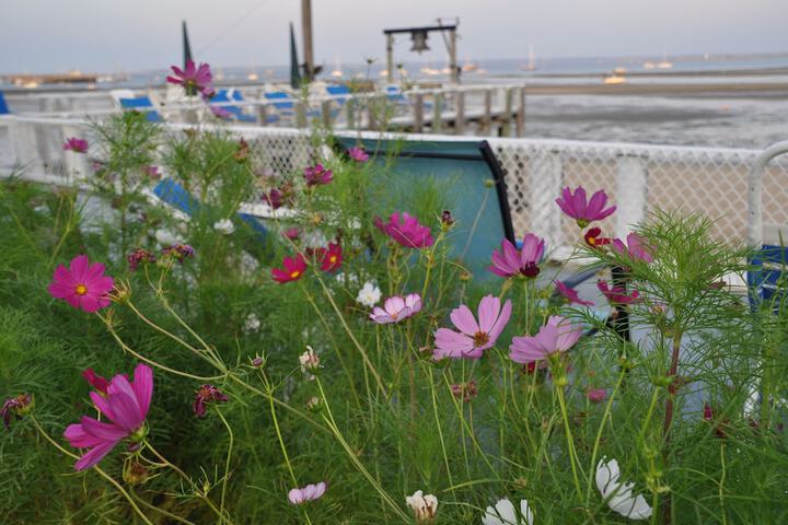 The Masthead Resort
