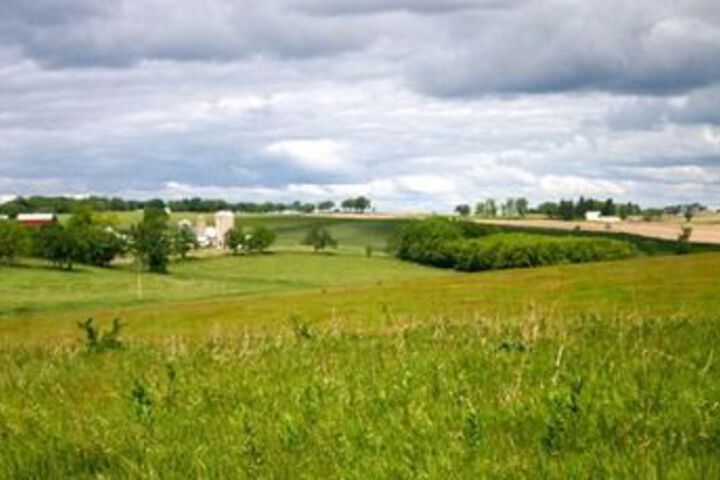 Springdale Inn