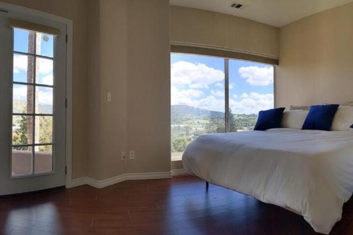 Buena Creek Vista Primary Subdivided Home with Views and Pool