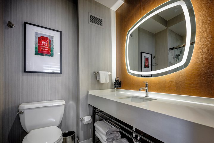Hotel Indigo Baton Rouge Downtown by IHG