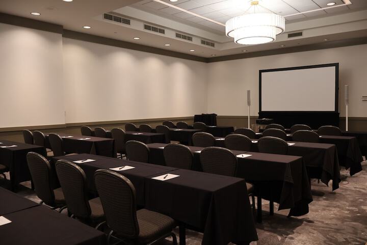 C. Baldwin Curio Collection by Hilton