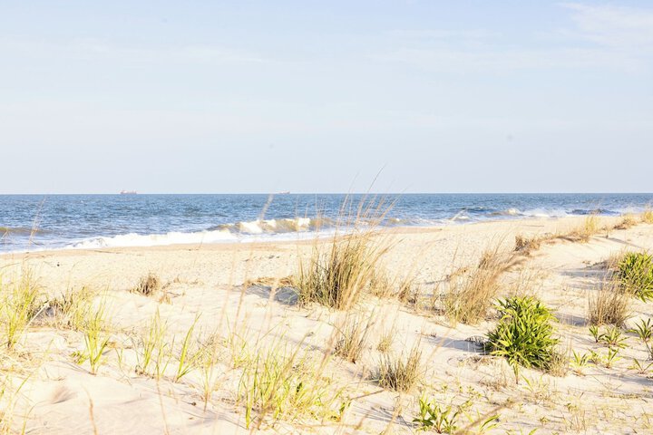Beach 92 of 109