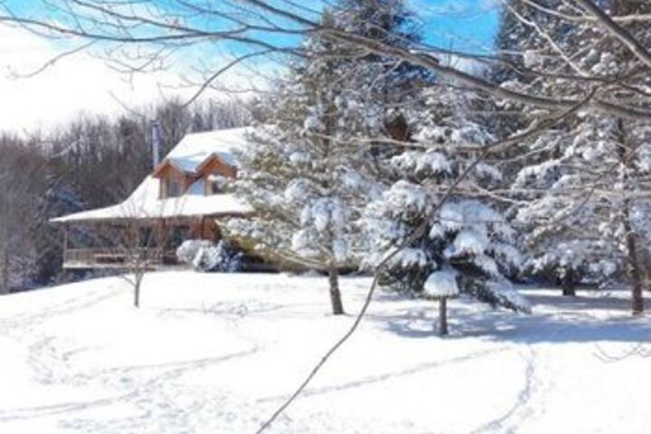Mountain Horse Farm