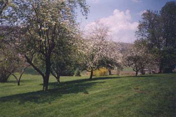 Monier Manor