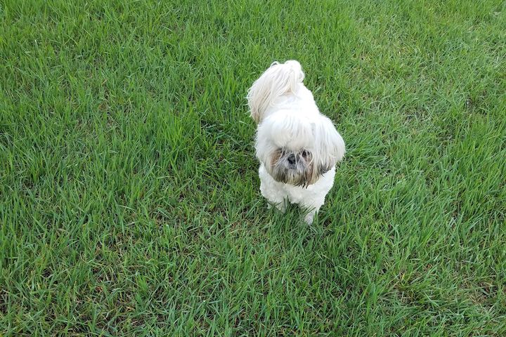 Pet Friendly 25 of 26