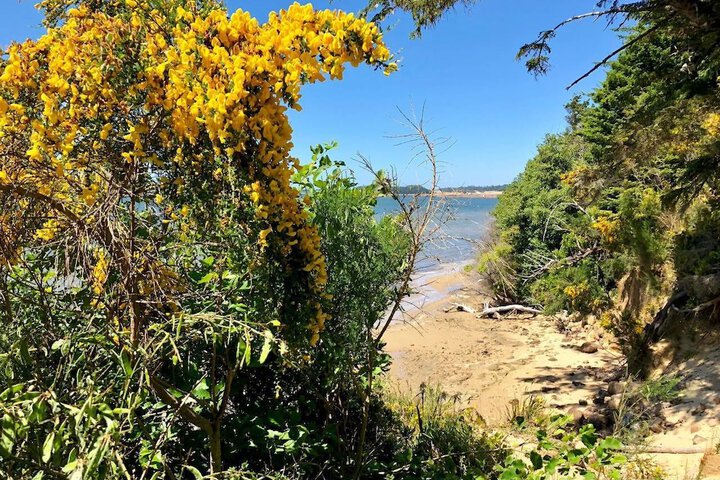 Seagate: Starboard coos Bay~premiere Property