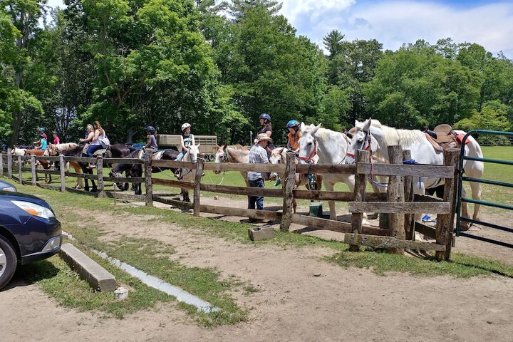 Arrowmont Stables & Cabins