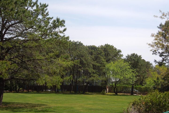 Property Grounds 43 of 46