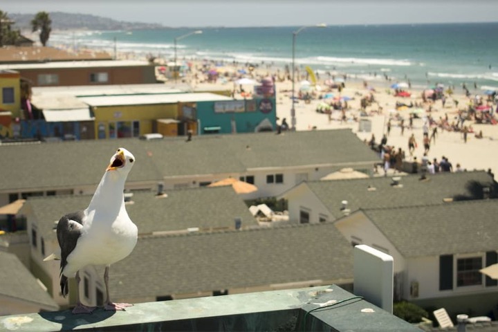 The Beach Cottages