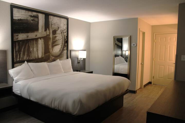 Boarders Inn & Suites