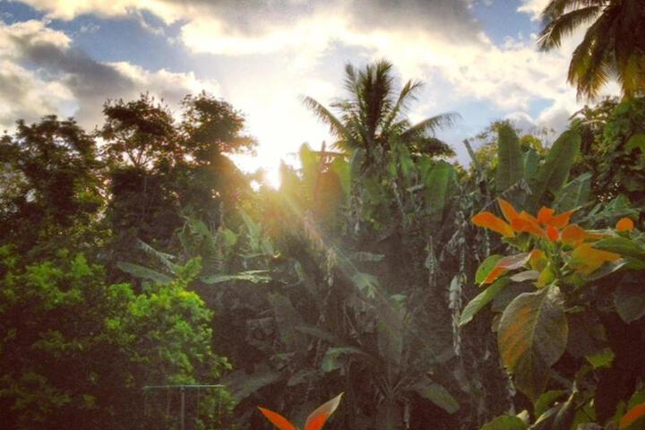 Heavenly Hana Paradise