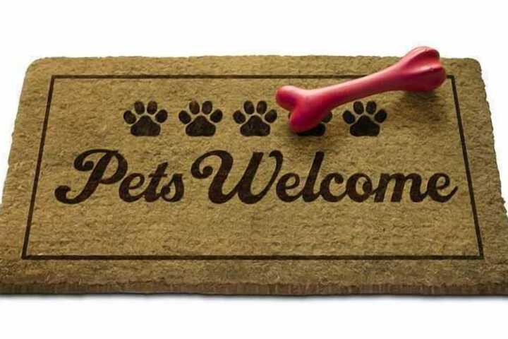 Pet Friendly 40 of 41
