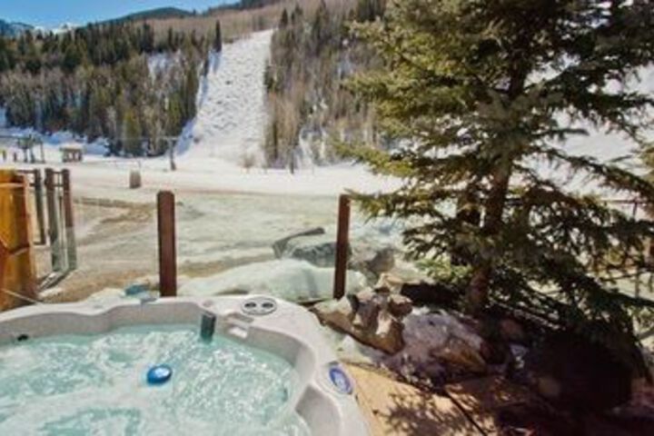 Double Diamond by Telluride Alpine Lodging