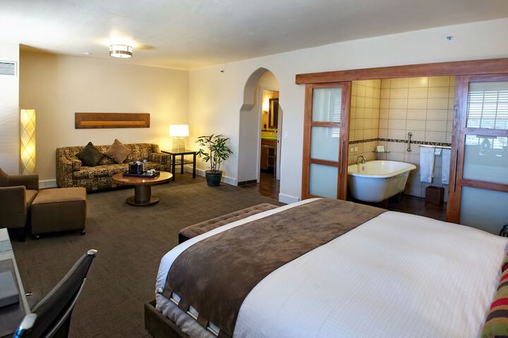 Hotel Andaluz Albuquerque Curio Collection by Hilton