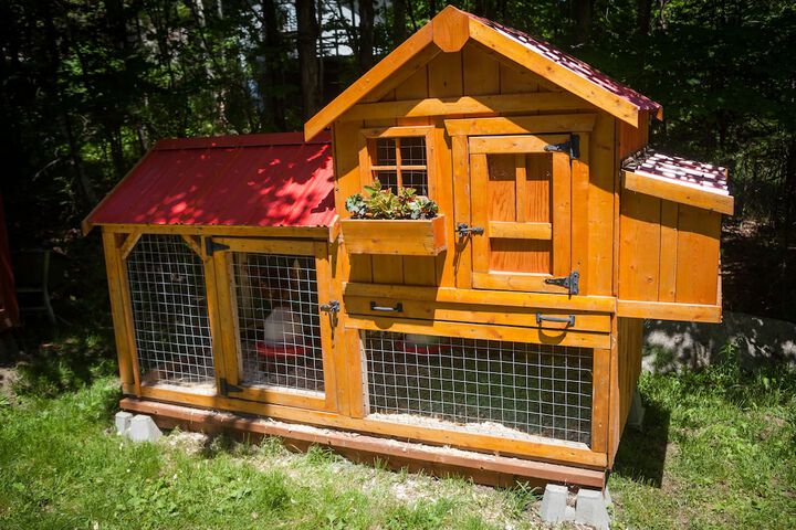 Pet Friendly 61 of 73