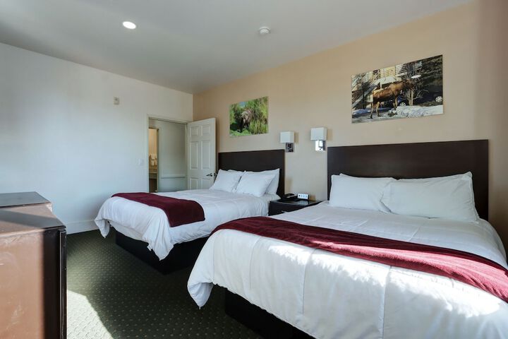Room 15 of 36