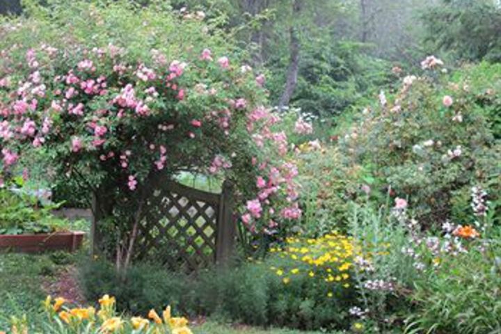 Honeysuckle Hill
