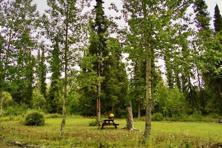 Carlo Creek Cabins