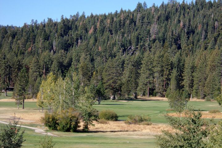 Golf 45 of 55