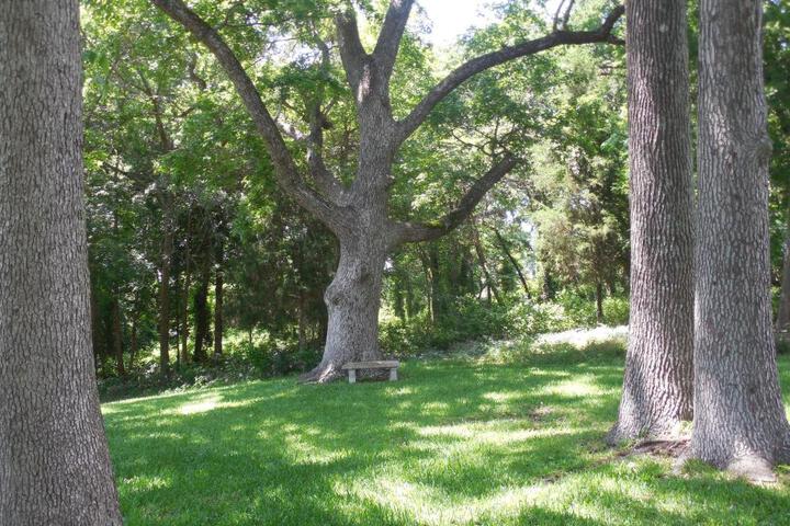 Dogwood Springs Lodgings