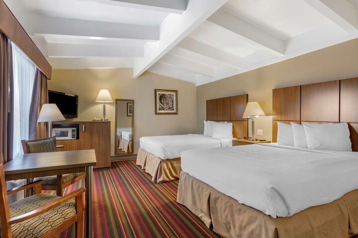 Room 15 of 29