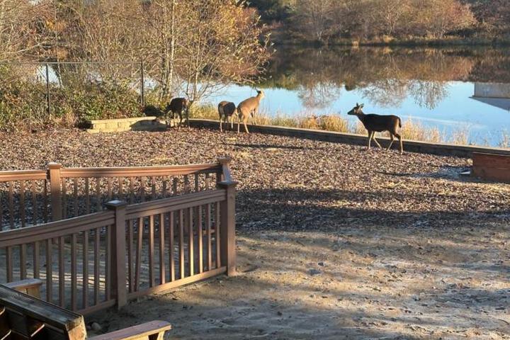 Gearhart Lakefront Vacation Rental