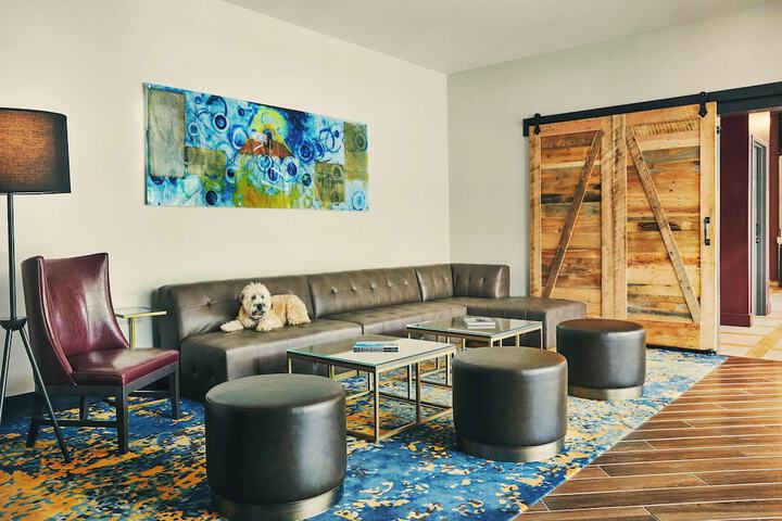 The Draftsman Charlottesville, University, Autograph Collection Hotel