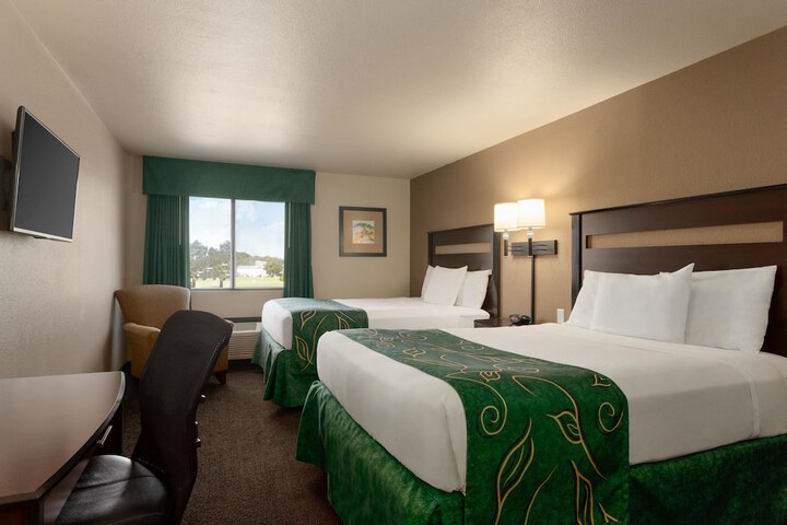 Room 15 of 20