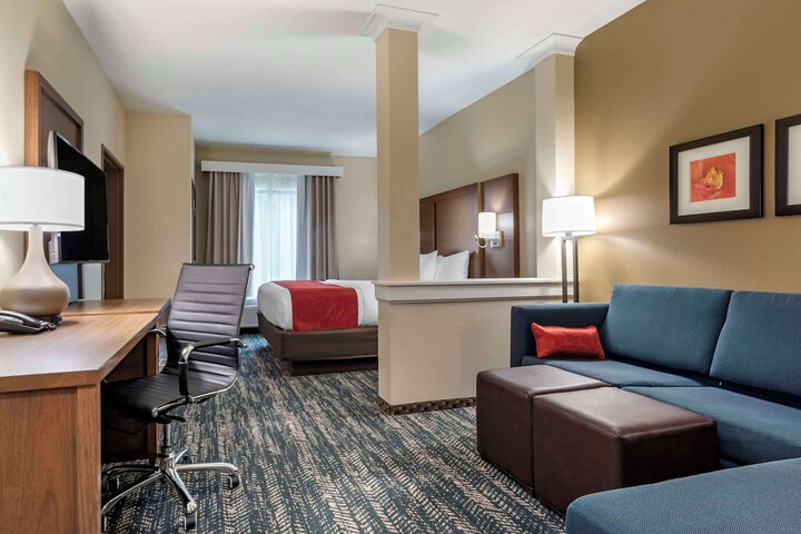 Comfort Inn & Suites Downtown near University
