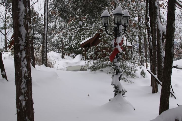 Property Grounds 56 of 57