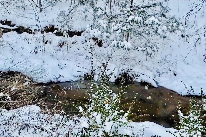 Bear Inn Retreat