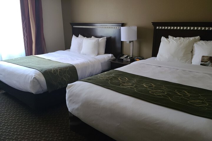Room 33 of 55