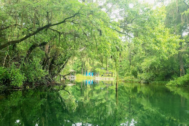 Rainbow River Home w / Private Kayak Dock