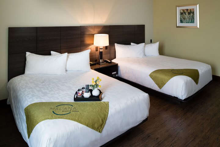 Malana Hotels & Suites